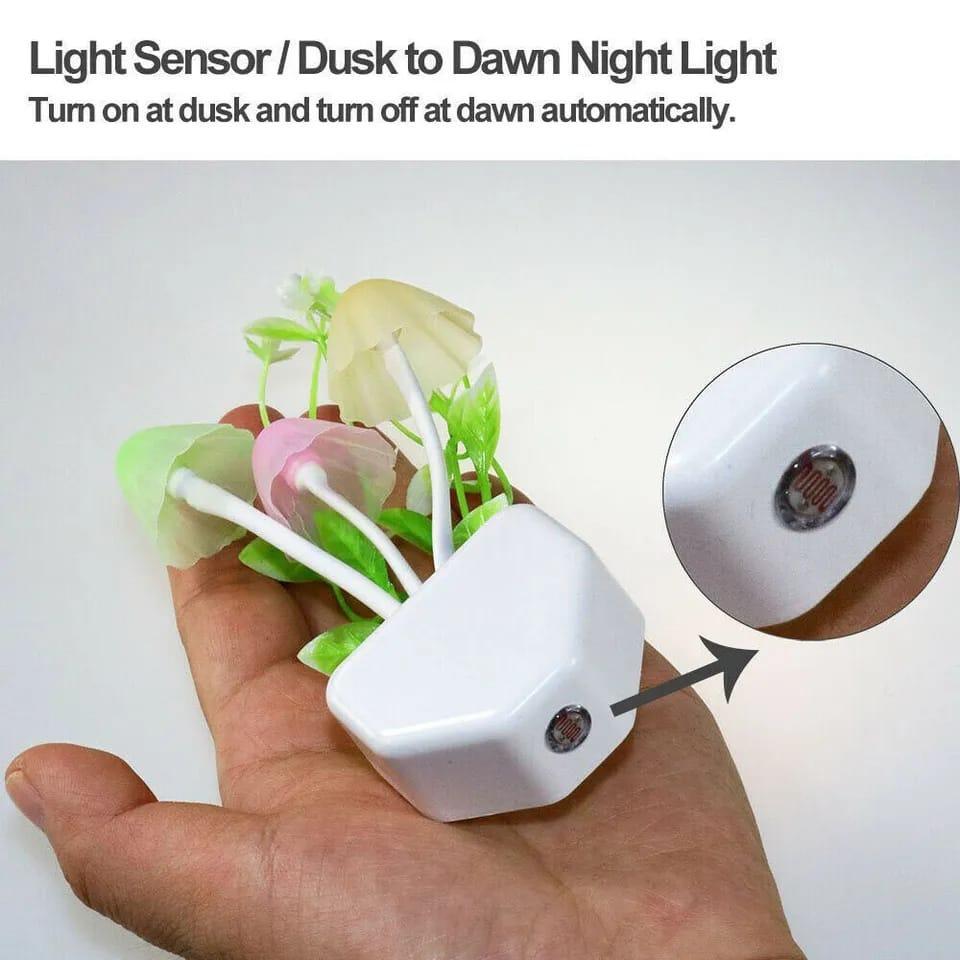 LED Decorative Lights